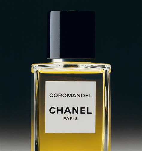 chanel 31 rue cambon price